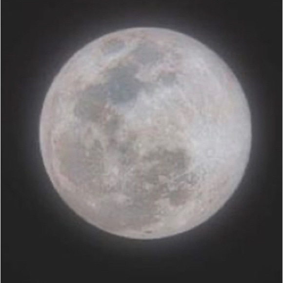 Meet your Posher, Stephie - Picture 4 of 6